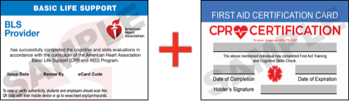 Sample American Heart Association AHA BLS CPR Card Certificaiton and First Aid Certification Card from CPR Certification Westchester