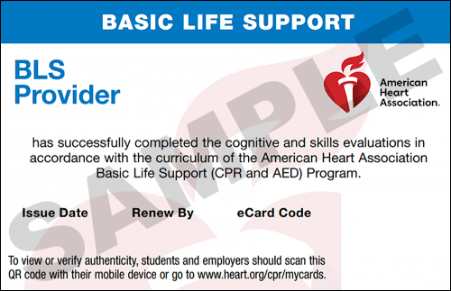 Sample American Heart Association AHA BLS CPR Card Certification from CPR Certification Westchester