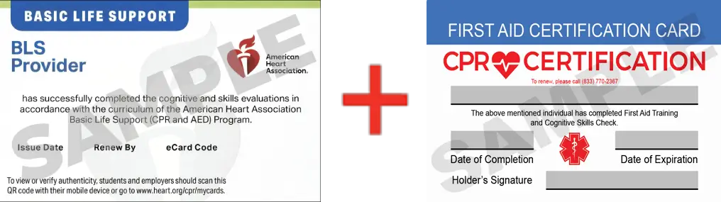 Sample American Heart Association AHA BLS CPR Card Certification and First Aid Certification Card from CPR Certification Westchester