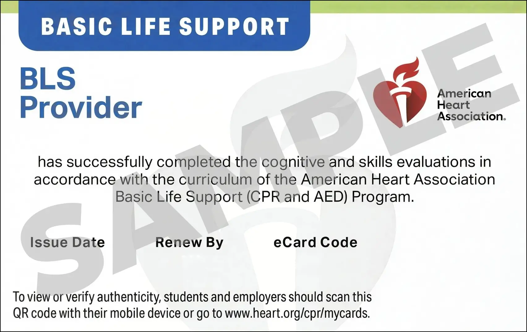 Sample American Heart Association AHA BLS CPR Card Certification from CPR Certification Westchester